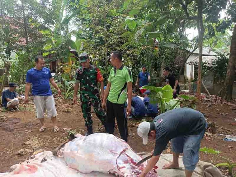Sertu Yusrizal Babinsa Koramil 04/Karangkobar Bantu Sembelih Hewan Qurban di Desa Pasuruhan