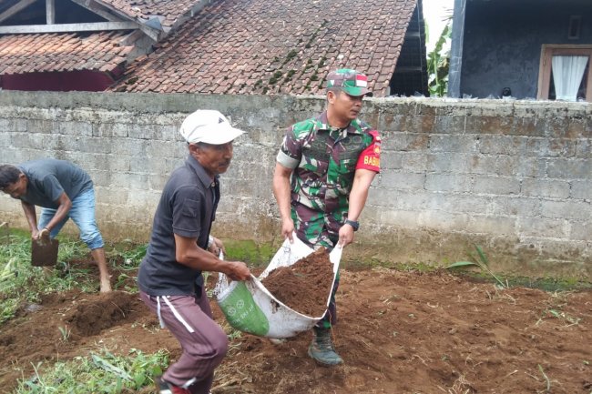 Ringankan Beban Pekerjaan Warga,Sertu Tohar Kerja Bakti Bantu Warganya Ratakan Lahan