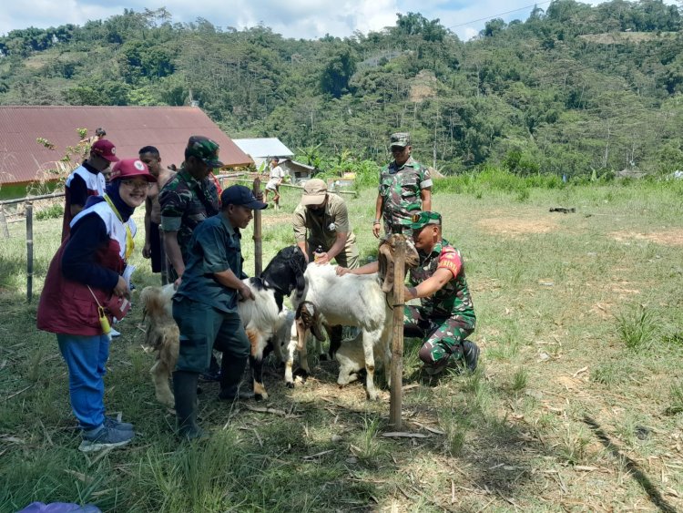 Turun Kewilayah Danramil Bersama Babinsa Pantau Langsung Pelayanan Keswan Dan Vaksin Hewan Ternak
