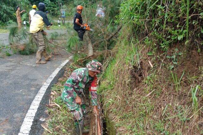 Membahayakan Pengguna Jalan Serka Heru Karmanto Bantu Warga menebang Pohon