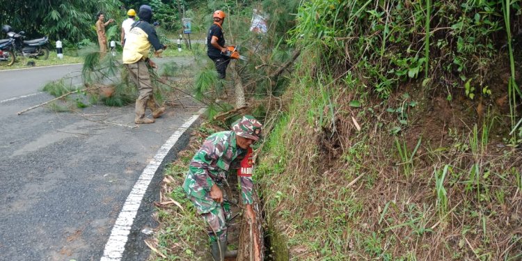 Membahayakan Pengguna Jalan Serka Heru Karmanto Bantu Warga menebang Pohon