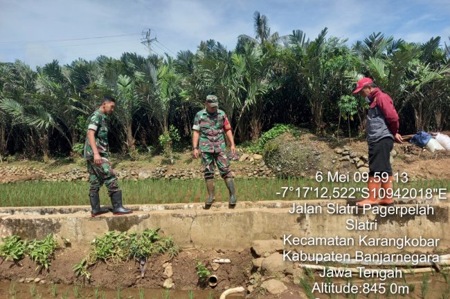 Salah Satu Upaya Untuk Mensukseskan Pertanian Babinsa Karangkobar Lakukan Pengecekan Saluran Irigasi