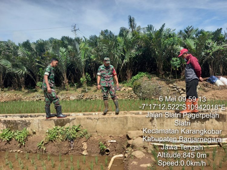 Salah Satu Upaya Untuk Mensukseskan Pertanian Babinsa Karangkobar Lakukan Pengecekan Saluran Irigasi