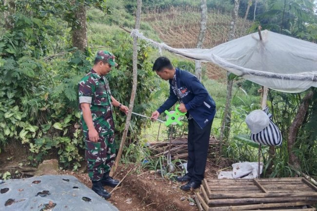 Bersama Perangkat Desa Babinsa Sertu Tohar Bantu Ukur Tanah Milik Warga Desa Binaan