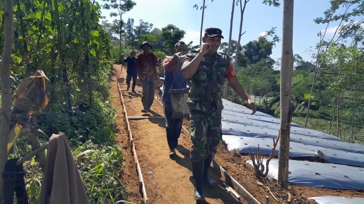 Tingkatkan Kesejahteraan Petani Babinsa Bantu Warha Pengecoran  Jalan Usaha Tani