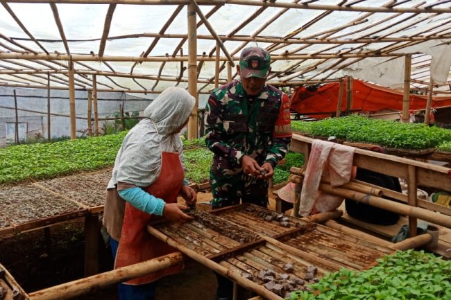 Pembinaan Babinsa Serka Heru Karmanto Silaturahmi Ke Penjual Bibit Tanaman