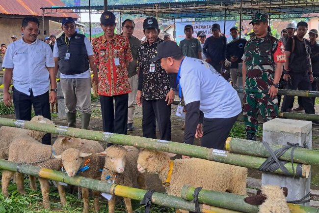Wakili Danramil Babinsa Hadiri Expo Upland Lenglang Komoditas Ternak Information Campaign