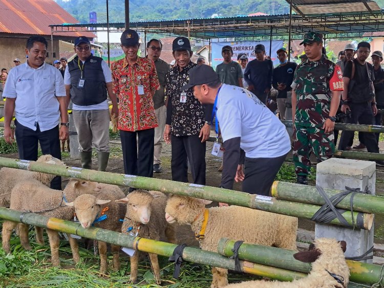 Wakili Danramil Babinsa Hadiri Expo Upland Lenglang Komoditas Ternak Information Campaign