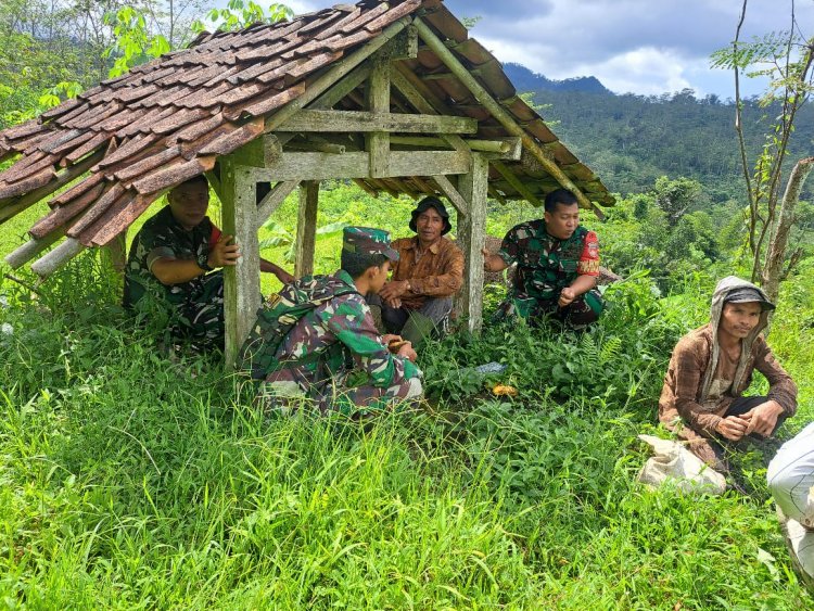 Komsos Dengan Petani Babinsa Berikan Motivasi Tingkatkan Produksi Serta Kualitas Padi