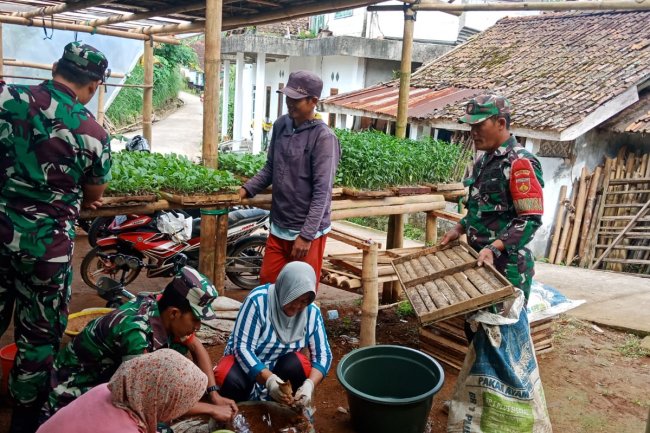 Babinsa Melaksanakan Penyemaian Bibit Sayuran Bersama Kelompok Wanita Tani Mekar Sari