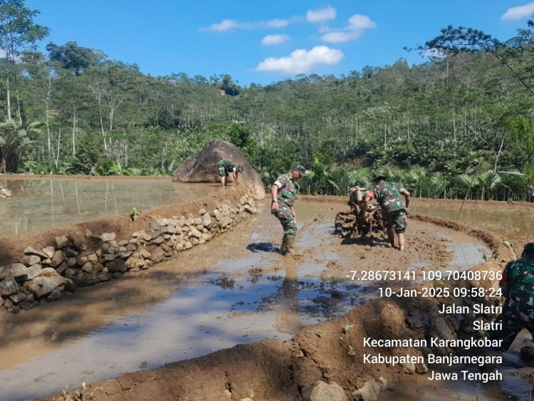 Mendukung Program Pemerintah Di Bidang Swasembada Pangan Babinsa Bantu Bajak Sawah Milik Warga