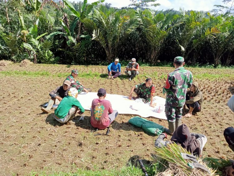 Babinsa Koramil 04/Karangkobar Jalin Komsos Dengan Para Petani Padi Di Wilayah Binaan